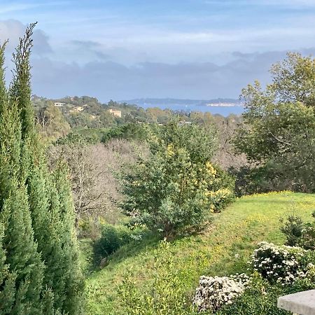 Les Restanques Maison 14 Chenes Grimaud Eksteriør billede