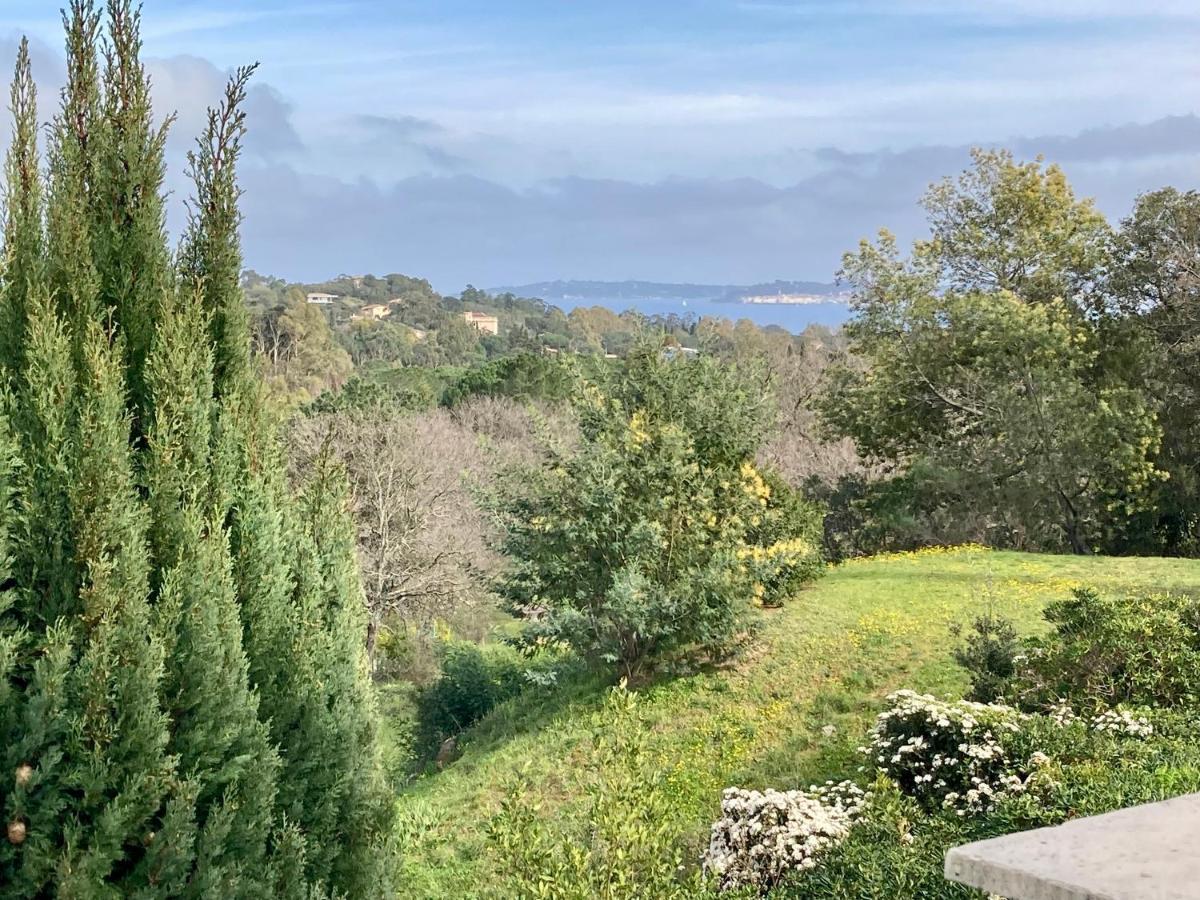 Les Restanques Maison 14 Chenes Grimaud Eksteriør billede